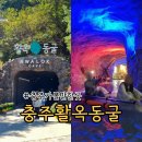 충주가볼만한곳 활옥동굴 입장료 할인사항 카약 소요시간 후기