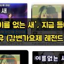 강변가요제 | 손현희 '이름 없는 새', 지금 들어도 소름 돋는 이유 (강변가요제 레전드 재조명)