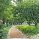 숲길 이미지