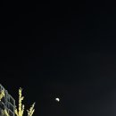 은구비남로(유성-40) 이미지