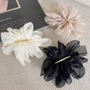 골드플라워 (GOLD FLOWER) 이미지
