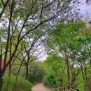 힐링 행정사사무소 이미지