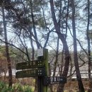 삼불사 화장실 | [경주 가볼만한곳] 남산 금오봉 등산 (feat.삼불사)