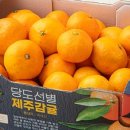 지금관광농원 이미지