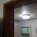 평화제일 이미지