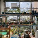 리라약국 이미지