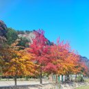 삼척농수산 이미지