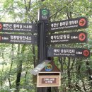 팔각정 입구 이미지