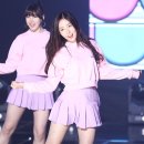 신비 - 중구 | 신비