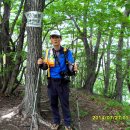 삼척 육백산1244m.(2014.07.27.한밭산사랑산악회)1 이미지