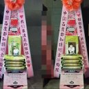 MBC 주말드라마 '내 딸, 금사월' 제작발표회 배우 도지원 응원 쌀드리미화환 : 기부화환 쌀화환 드리미 이미지