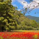 대별농장 이미지