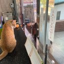 가조IC | 거창 가조온천 원탕 백두산천지 온천 요금, 시간, 시설