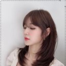 더새롬헤어