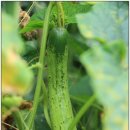 재학농장 이미지