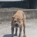 장군모텔 이미지