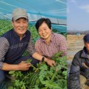 함박골농장 이미지