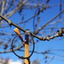 (주)알펜 이미지