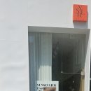 윤스리에(yunseulier)