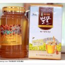 제주어멍농장 이미지