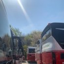 (주)보고여행사 이미지