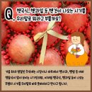 머드러기 - 동구 | 머드러기