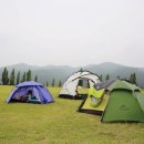 NR-5[경북대로]-상-950 | @여주 강천섬 이야기