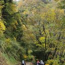 영월 상동 꼴두바우에서 예미역까지 55km 라이딩 이미지