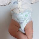 보드라움 | [기저귀추천] 진심 후기 - 보드라움의 끝판왕 엘프레리 에어필
