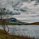 참사랑전문요양원 이미지