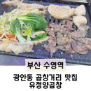 부산수영추천맛집 유정양곱창 | 부산 수영역 맛집 &#39;유정양곱창&#39; 광안동 곱창거리 추천