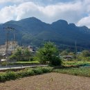 일암다리 이미지