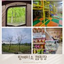 땅에미소캠핑장 | 연천 땅에미소 캠핑장 사이트 아이놀거리 매점