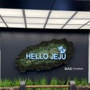 호텔휴식서귀포 | 고사리 장마가 내리는 4월의 제주 (1)