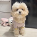 가현뽑기뽑기 | • 𝙾𝚌𝚝𝚘𝚋𝚎𝚛 𝙳𝚒𝚊𝚛𝚢_2025