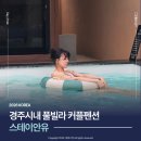 스테이안유