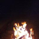 기린 캠프랜드 이미지