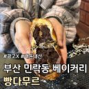 빵다무르 - 8565 | (광고X) 내돈내산 부산 민락동 빵지순례 선물하기 좋은 베이커리 추천 후기 :: 빵다무르::