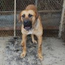 하리 농장 이미지