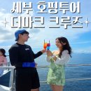 케이 헤어쇼 | 세부 더마크크루즈 요트투어 후기 가격 스노쿨링 그리고 음식까지 총정리