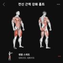 플릭