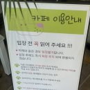 행복하게 해줄개 | 고양시애견카페 천연잔디로 되어있는 가성비 애카 행복하게해줄개
