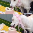 루비까까 이미지