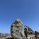 다다산업(주) | 2025.3.22. 구례여행. 산수유 보다 노고단.