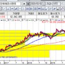 현 코로나19 폐렴 상황에서 투자를 어떻게 할 것인가? 이미지