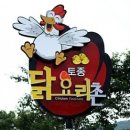 힐링투어여행 이미지