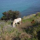김용호 농장 이미지