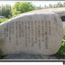 성옥태양광발전소 이미지