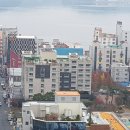 신세계부동산중개 이미지