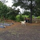 나들목사우나 이미지